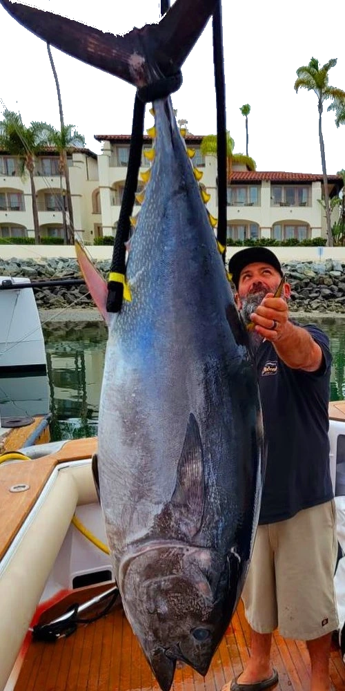 Man holding a huge fish